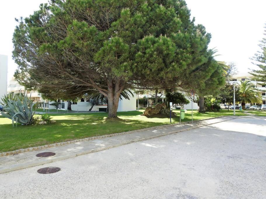 Apartamento Bay Lagos